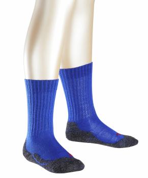 "FALKE" Носки Active Warm (10450/6054)