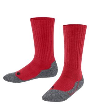 "FALKE" Носки Active Warm (10450/8000)